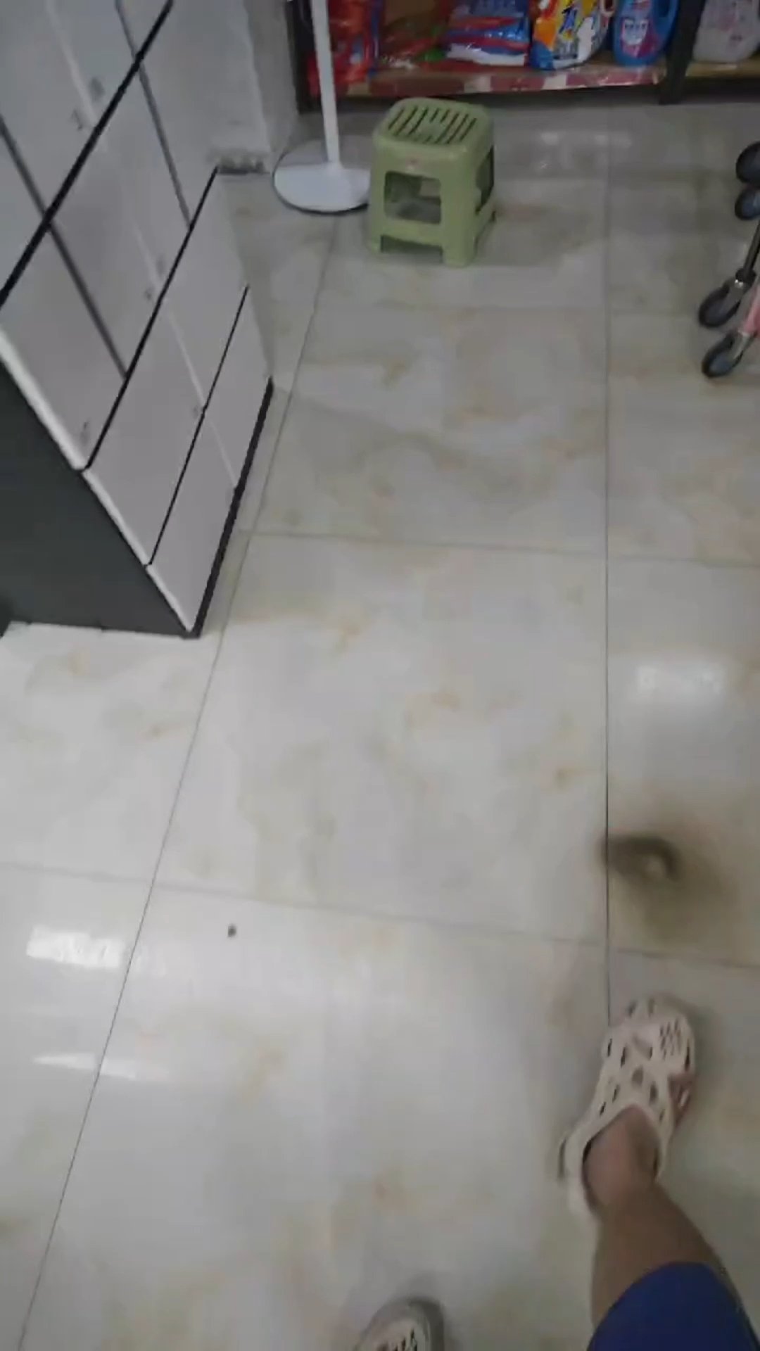【群友测评】约束三代----ID：你尔多龙吗